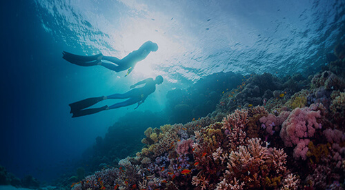 Boat Snorkeling